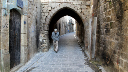 ناطور المدينة