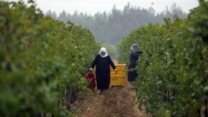 عفرين.. في الانتظار