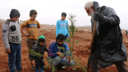 زراعة 2000 غرسة حراجية جديدة في “حرش” بكفر حلب