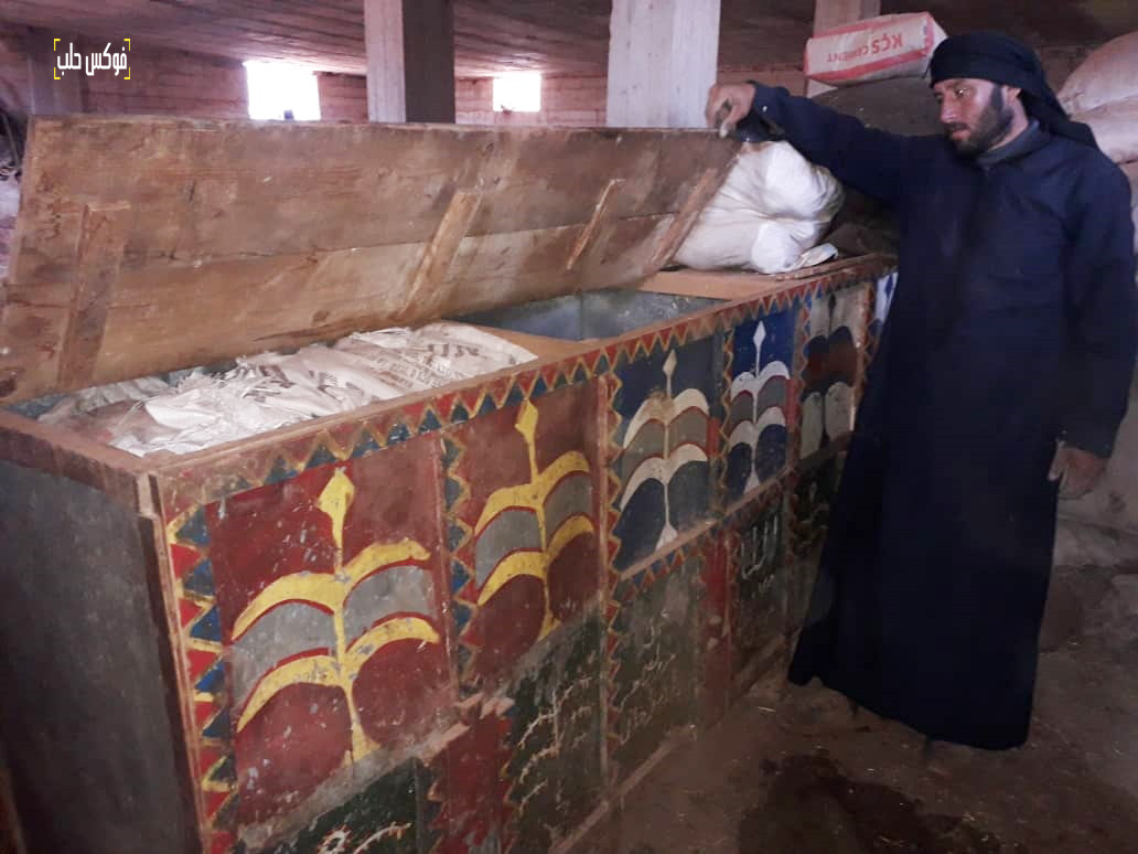 الصورة لخلايا خشبية قديمة.