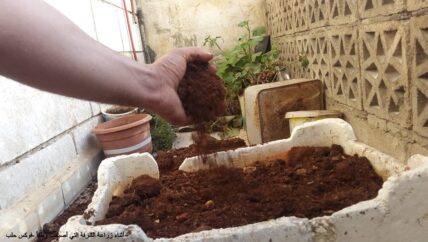 شرفة بذاكرة وطن