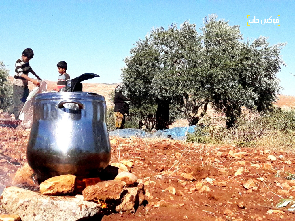 الشاي على الحطب رفيق قطاف الزيتون في ريف ادلب