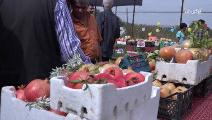 مهرجانات لأشهر المحاصيل الزراعية في إدلب