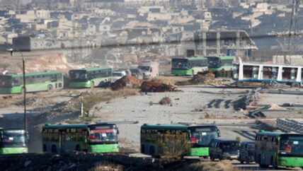 حلب.. ولعنة اللون الأخضر