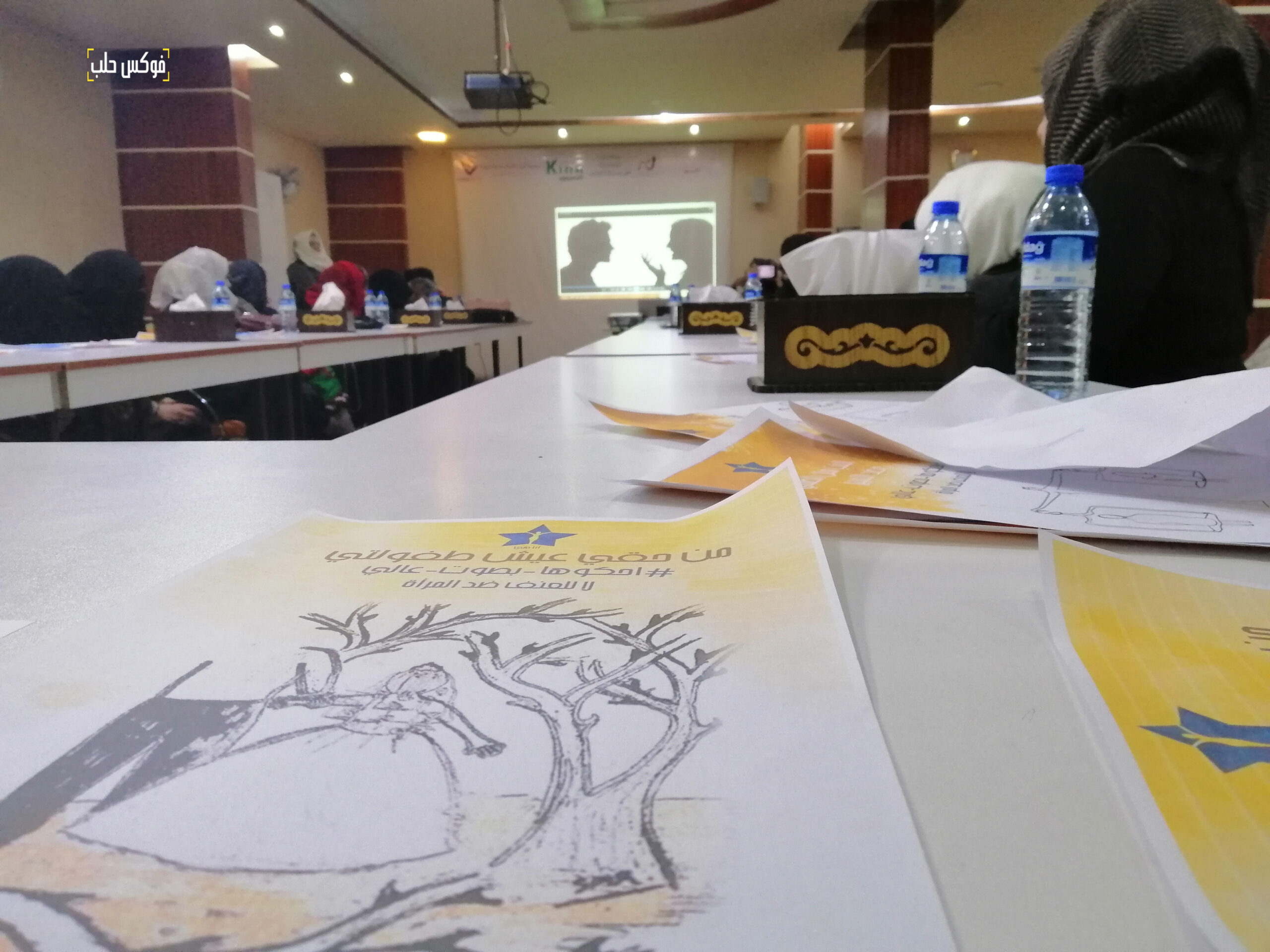 الصورة من المؤتمر نسائي حول مناهضة العنف ضد المرأة