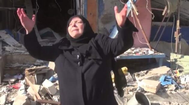 أمّ سورية -إنترنيت