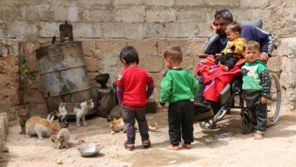 “قطة مع أبنائها وأحفادها” تقطن منزلاً في كفر حلب وتحرس سكانه (ذوي الاحتياجات الخاصة)
