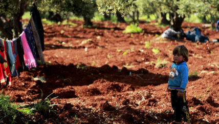 نحن لسنا دولة واحدة