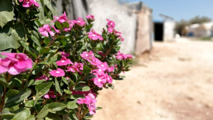 نساء المخيمات السورية يربين الأمل