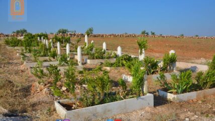 “أم زيتونة” حين تركنا فيها قبور شهدائنا
