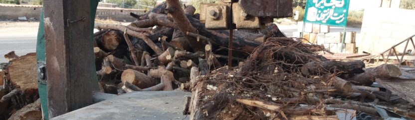 بعد قطع السنديان في حارم “البلّ” وصل إلى الجذور
