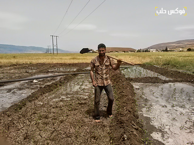 ري الأراضي الزراعية من خلال الآبار في ريف إدلب 