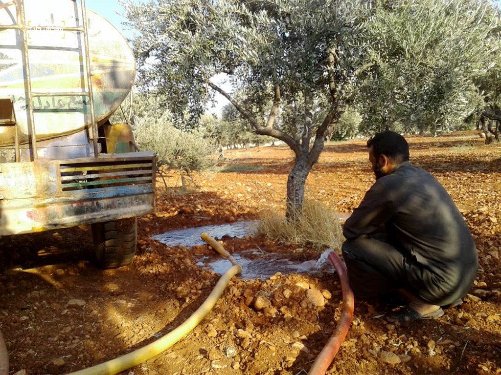 الري بصهاريج المياه لحقول زيتون في إدلب