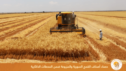 البذار السيء والأسمدة والمبيدات غير المراقبة تؤثر سلباً على الإنتاج الزراعي والتربة في الشمال السوري