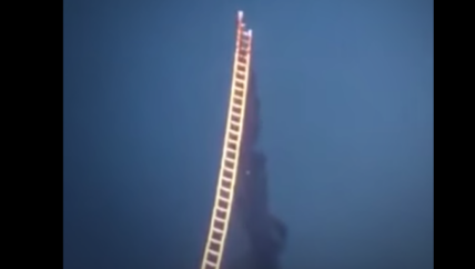 “الأولويات” في حياتنا السورية