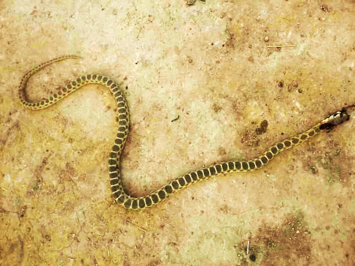 الصورة تعبيرية من الإنترنيت