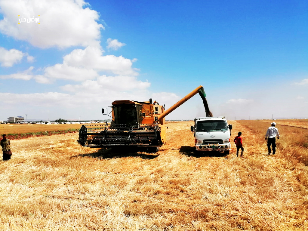 عملية حصاد القمح في أراضي الفلاحين المستفيدين من المشروع بريف ادلب