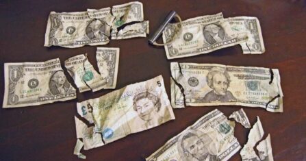 العملة التركية التالفة.. اقطعوا الحدود إلى البنك المركزي 