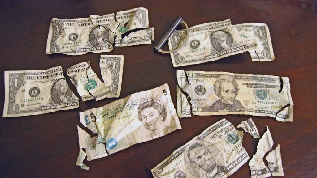 الصورة من الانترنيت