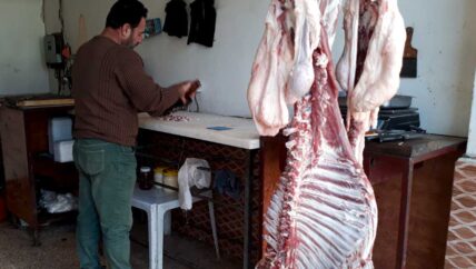 انخفاض أسعار لحم الأغنام تنذر بتراجع أعداد الثروة الحيوانية في إدلب