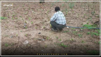 تأخر موسم الأمطار يجبر مزارعو إدلب على تبديل مواسمهم أو الاستغناء عنها
