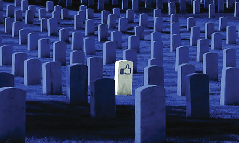 الصورة من الإنترنيت