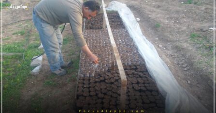 الجانرك والعقابية.. إنتاج وفير وأرباح بسيطة