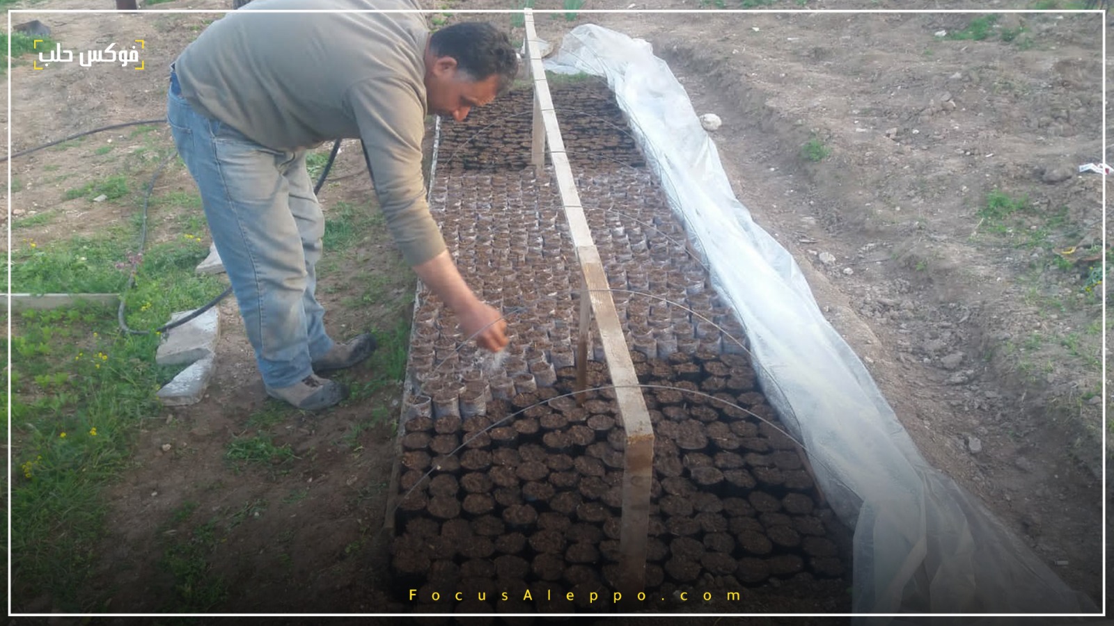 "تحضين البذار" ضمن المشاتل الزراعية في إدلب