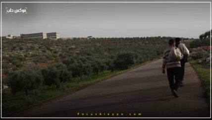 النباتات العشبية.. وجبة غذائية للعائلة ومصدر دخل للعاملين بجمعها في إدلب
