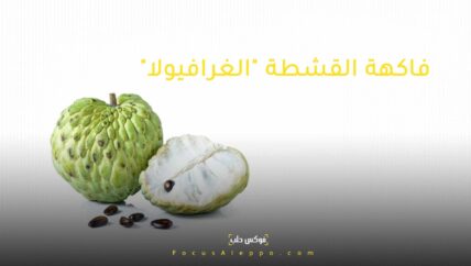 “فاكهة القشطة”.. تجارة الوهم لمرضى السرطان في إدلب