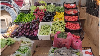 أسعار الخضار المرتفعة تزيد الضيق على عائلات في الشمال السوري