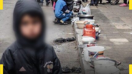 طوابير “الأنس في فيينا”