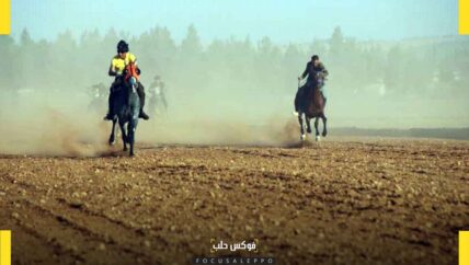 مهرجان الفروسية في قباسين .. اثنان وستون جواداً يتنافسون على البطولة