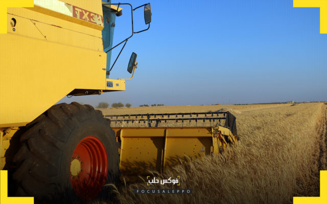 قمح الشمال السوري .. تراجع في المساحات وخسارة سنوية للمزارع