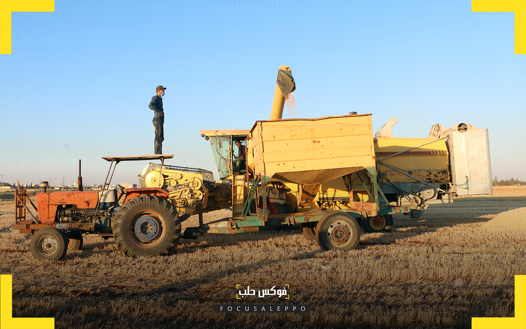 قمح الشمال السوري .. تراجع في المساحات وخسارة سنوية للمزارع