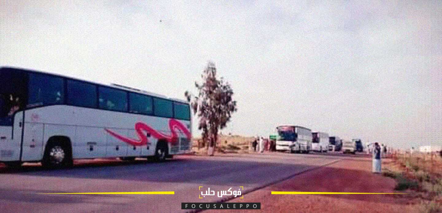 حافلات تنقل الزوار الإيرانيين والعراقيين إلى عين علي