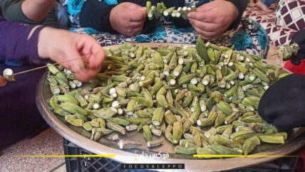ورشة نسائية مصغرة في إدلب تصدر البامية المجففة إلى الأسواق الأوربية