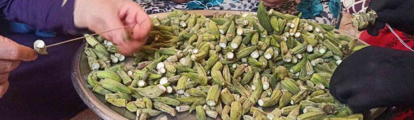 ورشة نسائية مصغرة في إدلب تصدر البامية المجففة إلى الأسواق الأوربية