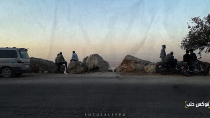 جنبات الطرق .. متنزهات مجانية لسكان مدن غابت حدائقها