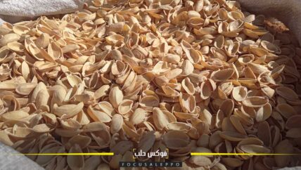 قشر الفستق واللوزيات وقود اقتصادي نظيف تتمسك به ربات المنازل