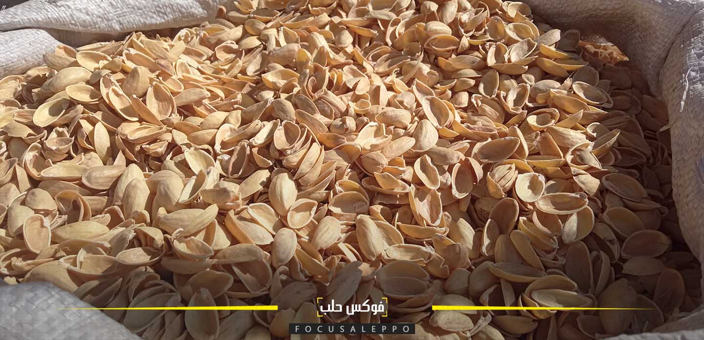 قشر الفستق واللوزيات وقود المدافئ في الشمال السوري