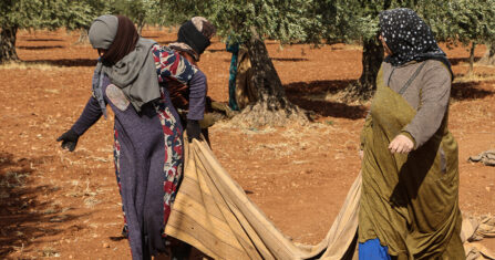 يوم المرأة العالمي: رئيفة سميع ناضلت من أجل سيدات إدلب