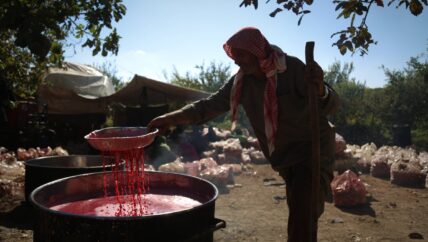 دبس الرمان .. صناعة الفائض لكسر كساد التصريف