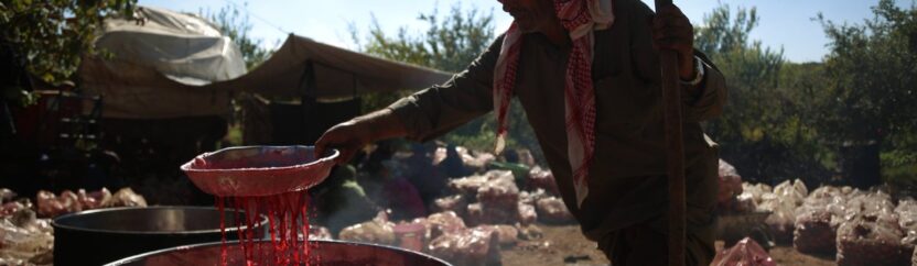 دبس الرمان .. صناعة الفائض لكسر كساد التصريف