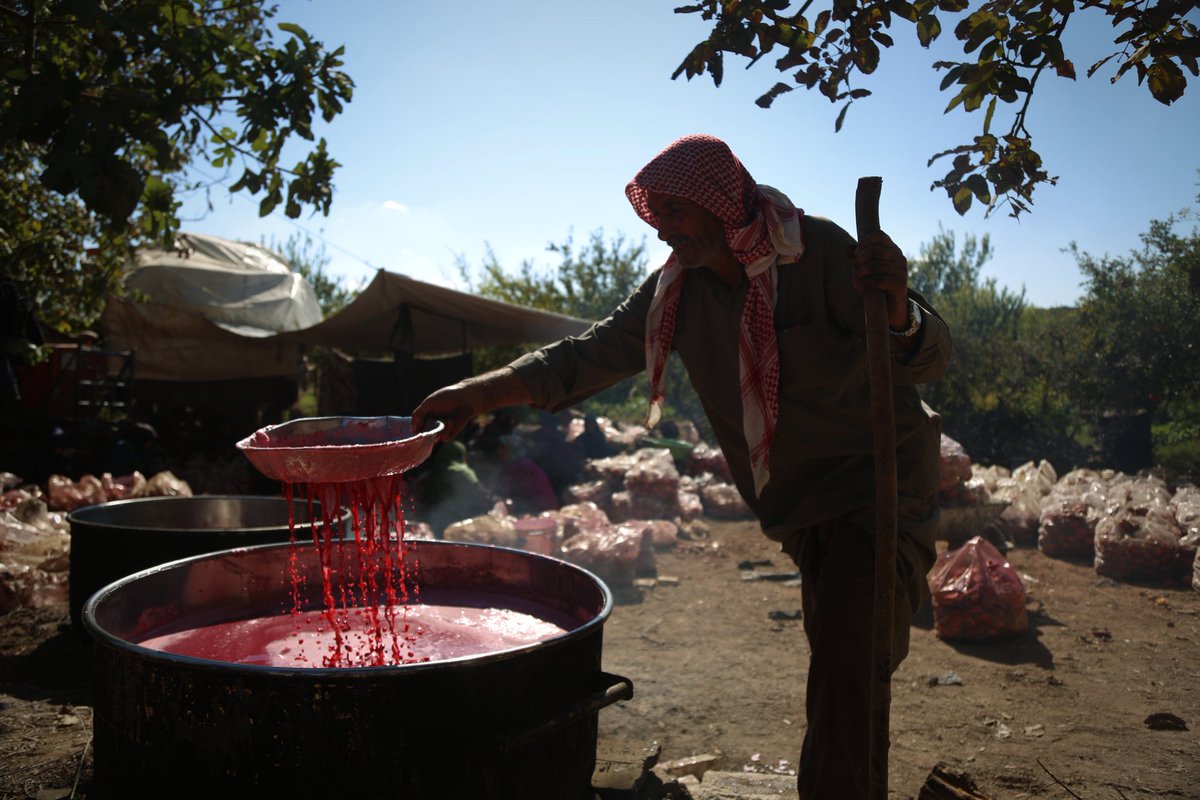 صناعة دبس الرمان -إنترنت
