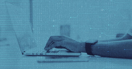 الأملاك في عفرين: استيلاء واسع وسطوة فصائلية