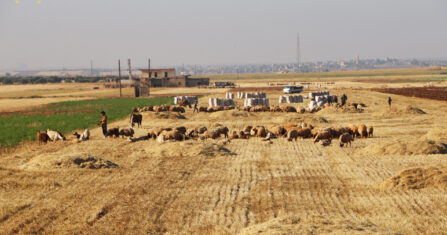 نجار من إدلب.. أبواب كثيرة أغلقت بسبب فتح الحدود