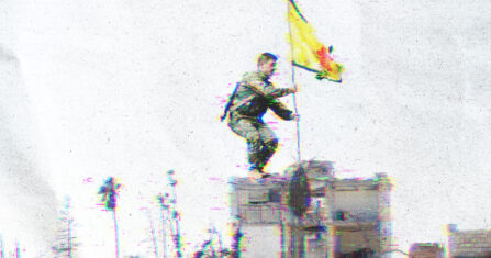 الأملاك في عفرين: استيلاء واسع وسطوة فصائلية