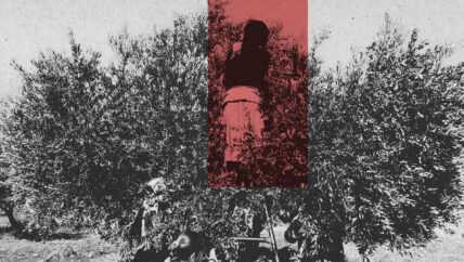 من الاستثمار إلى الاستملاك .. نهب أراضي السوريين جريمة حرب