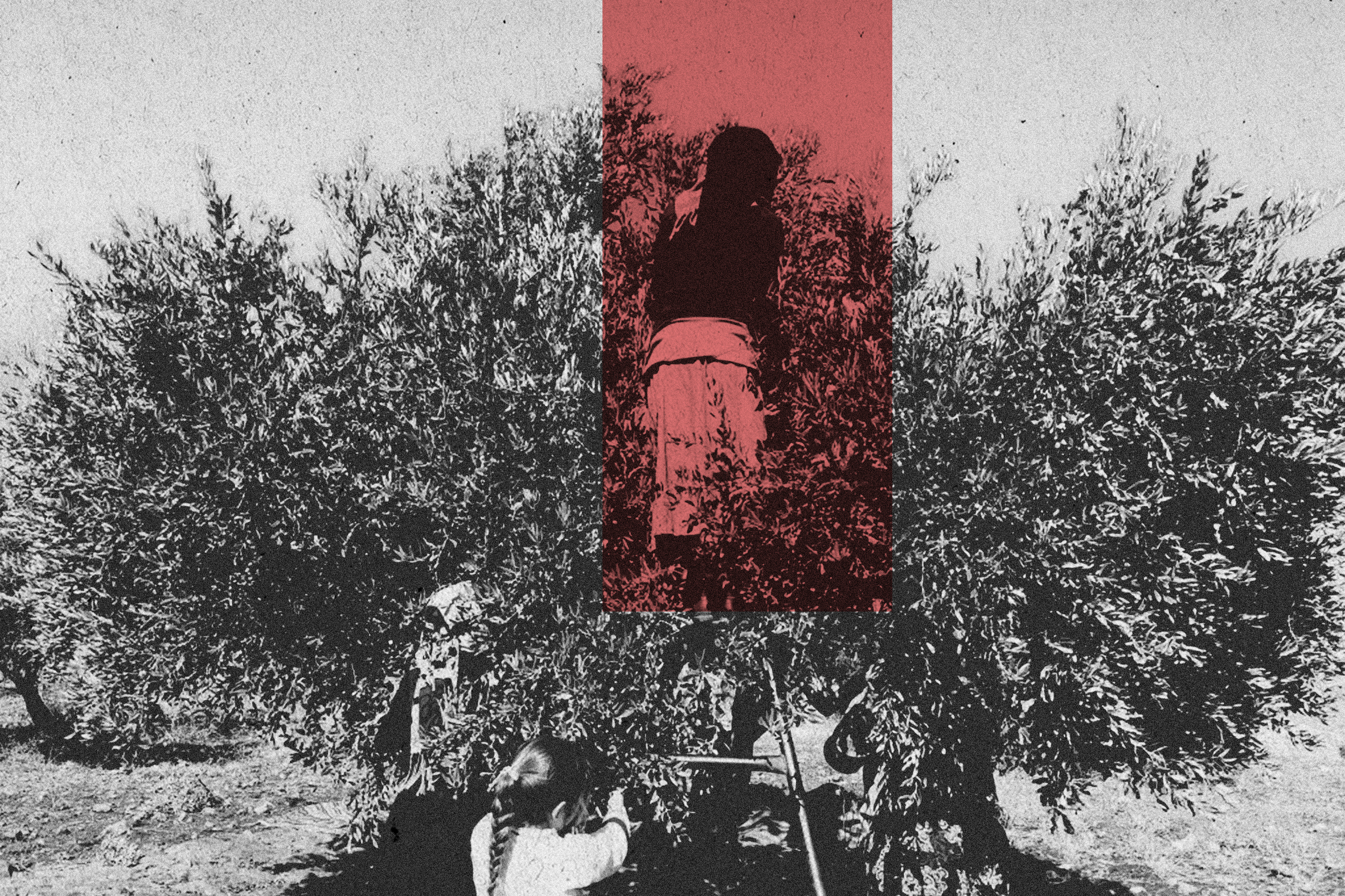 من الاستثمار إلى الاستملاك نهب أراضي السوريين جريمة حرب